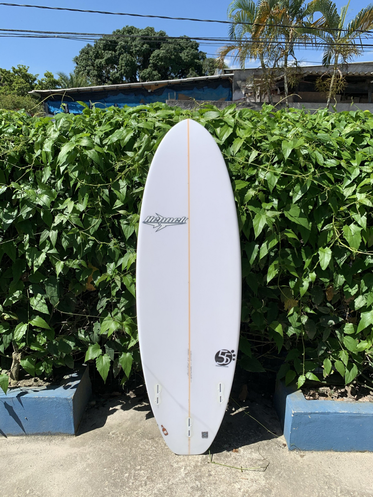 「白樺並木と水面」H41センチ×W31センチ Hennek TREKINHO 55 5'5x19 5/8